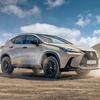 Lexus NX Overtrail decoro nero