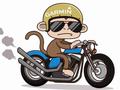 post_big/Monkey-C-IQ-scaled.webp