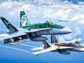 post_big/RAAF-Classic-Hornets.jpg