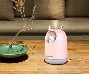 Simpatico umidificatore per animali domestici