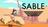 Esplora il vasto deserto: EGS ha lanciato un giveaway per la colorata avventura Sable