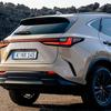 Lexus NX Overtrail con pelle sintetica nera