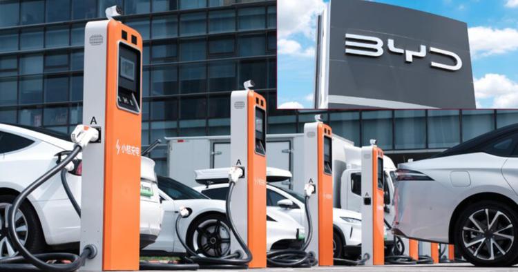 BYD aprirà 15.000 stazioni di ricarica ...