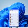 Schermata Skype immagine 2