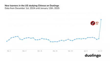 TikTok in blocco, Duolingo in testa: un aumento di popolarità inaspettato