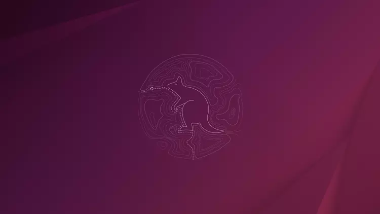 Ubuntu 25.10 "Questing Quokka" è stato ...