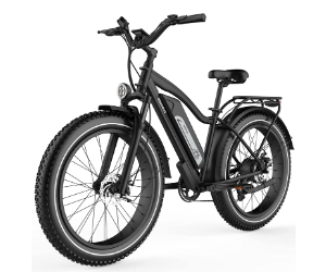 Bici elettrica Himiway Cruiser Fat Tire