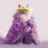 Design unico per gatti da Catly