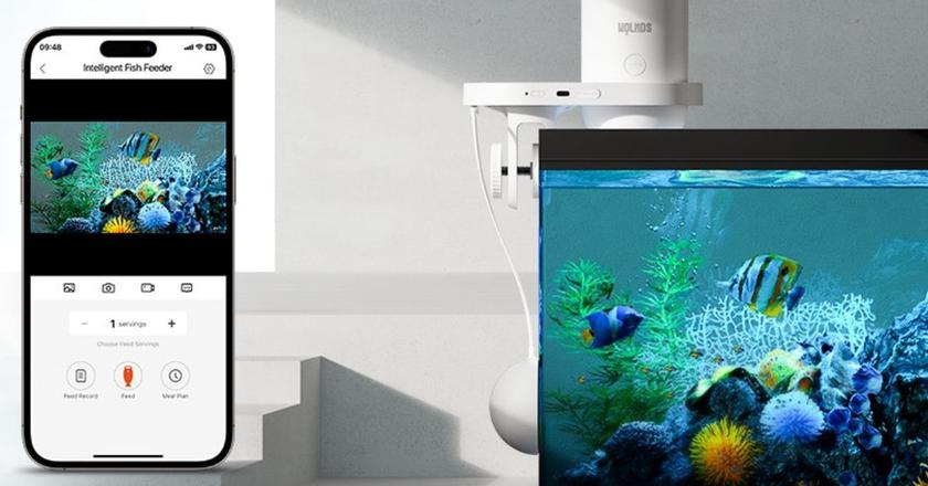 Alimentatore automatico per pesci Wolmds wifi