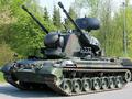 post_big/gepard_wiki.jpg