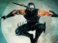 post_big/ninja-gaiden-zewnetrzne-studio-head.jpg