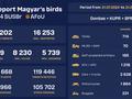 post_big/stats.birds414.com.jpg