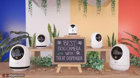 Migliore Videocamera per Cani con Dispenser di Snack