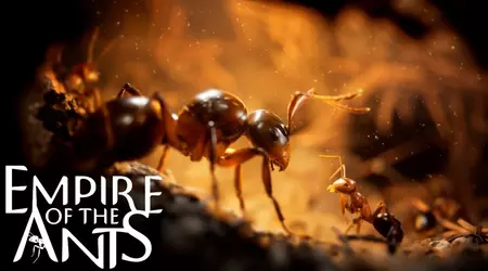 Empire of the Ants potrebbe arrivare su Switch 2: "è soprattutto una questione di fedeltà visiva" 
