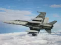 post_big/FA-18_Hornet.jpeg