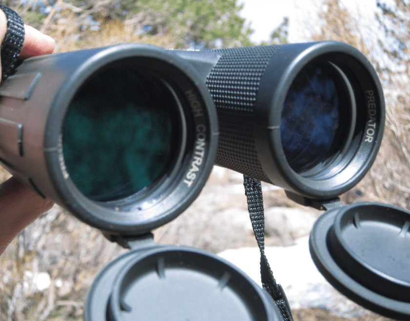 Binocolo compatto Steiner 8x42 Predator 8x42