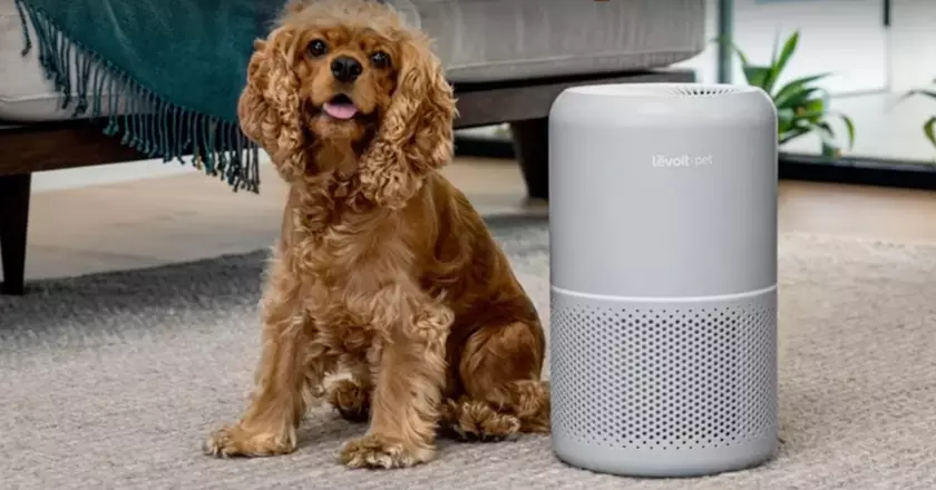 LEVOIT Core 300S purificatore d'aria per odore di gatto