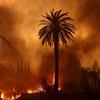 Incendio boschivo a Los Angeles