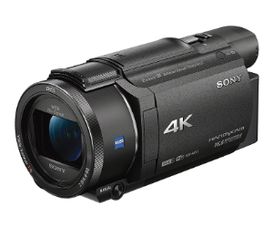 Videocamera di registrazione Sony FDRAX53/B