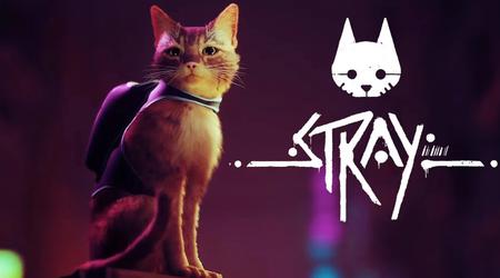 Il gioco del giorno: Stray - il viaggio cyberpunk di un gatto rosso attraverso un mondo in rovina è ora disponibile su Nintendo Switch