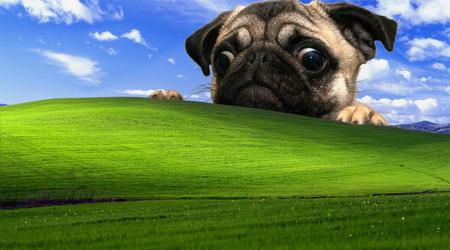 Windows XP rimane il più popolare in un paese