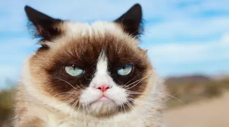 Negli Stati Uniti ha creato un sistema di guerra elettronica Angry Kitten basato sull'apprendimento automatico per i combattenti