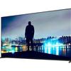 Qualità delle immagini del Sony Bravia 8 II