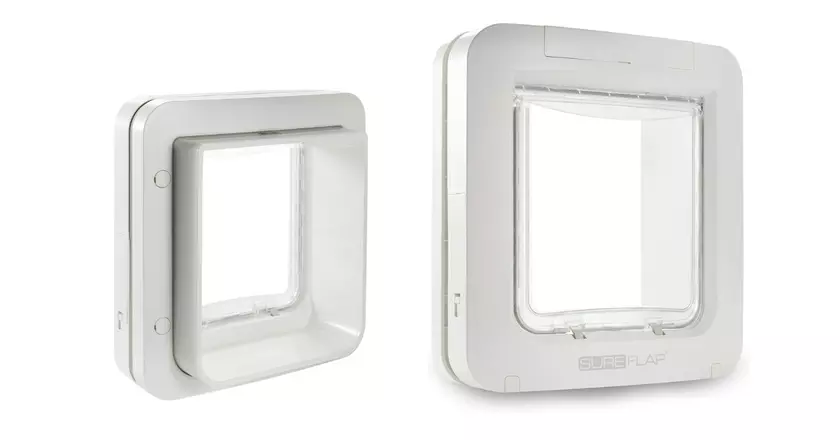 SureFlap Microchip Cane intelligente per animali domestici