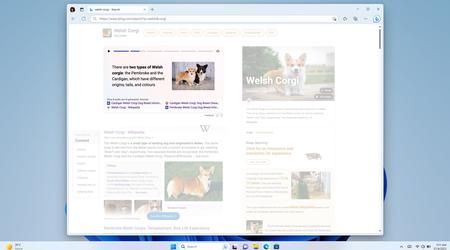 Microsoft lancia Bing Stories, che visualizza brevemente informazioni su una query di ricerca