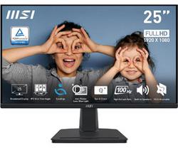 MSI PRO MP251