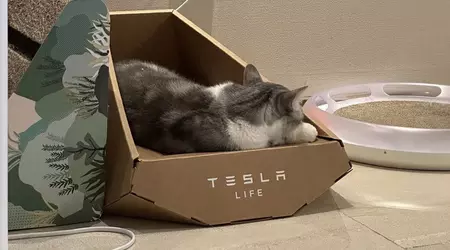Sembra che Tesla abbia rubato il progetto di un lettino per gatti "in stile Cybertruck" a un'azienda taiwanese