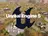 Age of Empires 5 potrebbe passare a Unreal Engine: l'azienda cerca specialisti con esperienza su questo motore