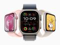post_big/watchOS_10.4_Beta_3.jpg