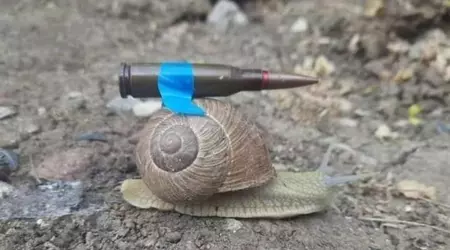 La Germania offrirà all'Ucraina 20 carri armati Leopard 20, uno al mese a partire da aprile 2023