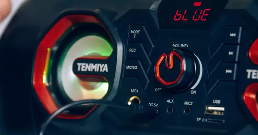 TENMIYA BT-A66 altoparlante con radio e bluetooth