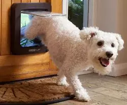 Porta per animali domestici con microchip SureFlap