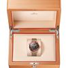 Omega Seamaster Diver 300M Movimento coassiale