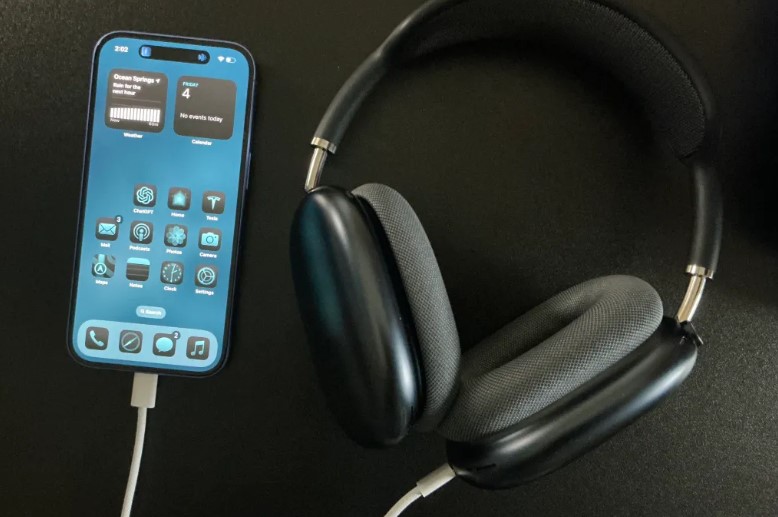 Cuffie ad alta fedeltà Apple AirPods Max (USB-C)