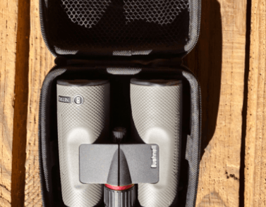 Binocolo per birdwatching Bushnell Nitro 10x42