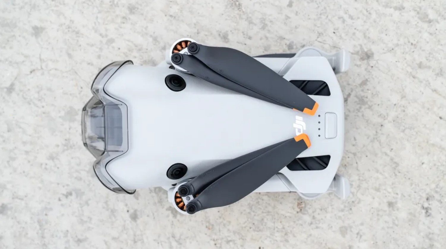 Mini 4 Pro vs Pro Max