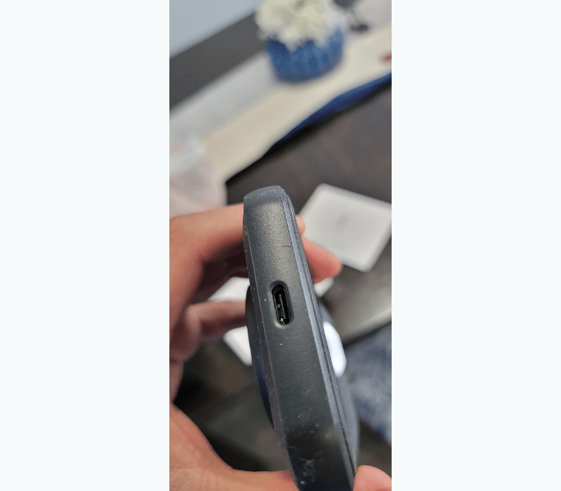 Termocamera FLIR C5 per uso domestico