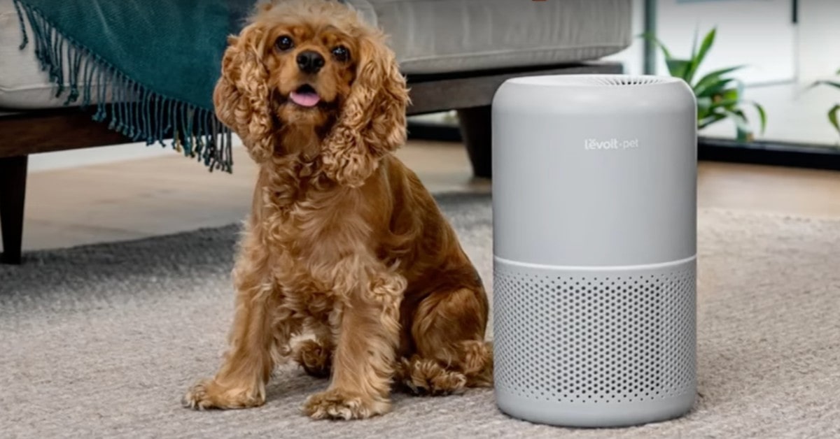 LEVOIT Core 300S purificatore d'aria per odore di gatto