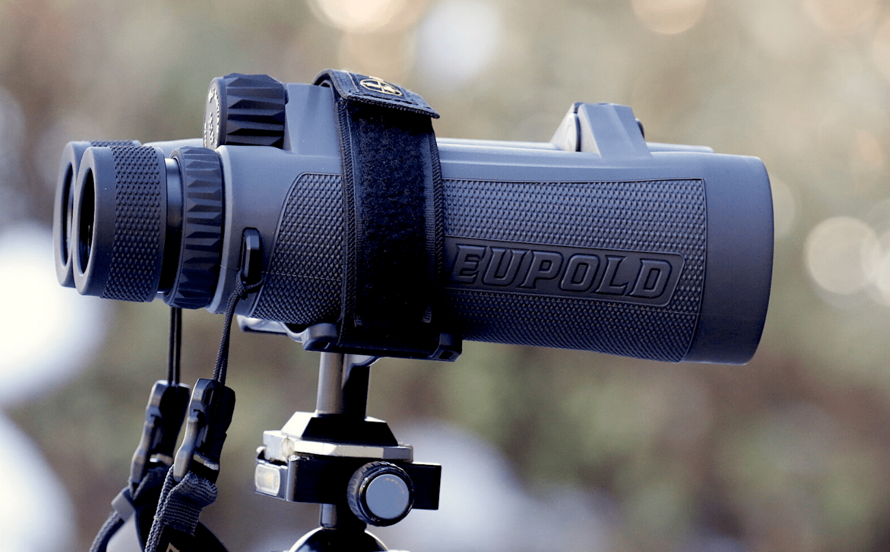 Binocolo astronomico Leupold BX-5 Santiam HD 15x56