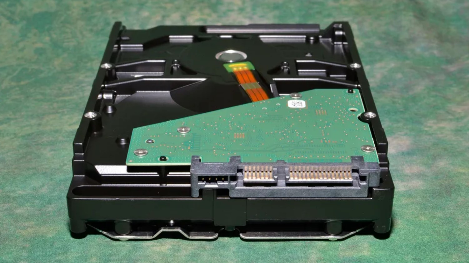 BarraCuda contro IronWolf