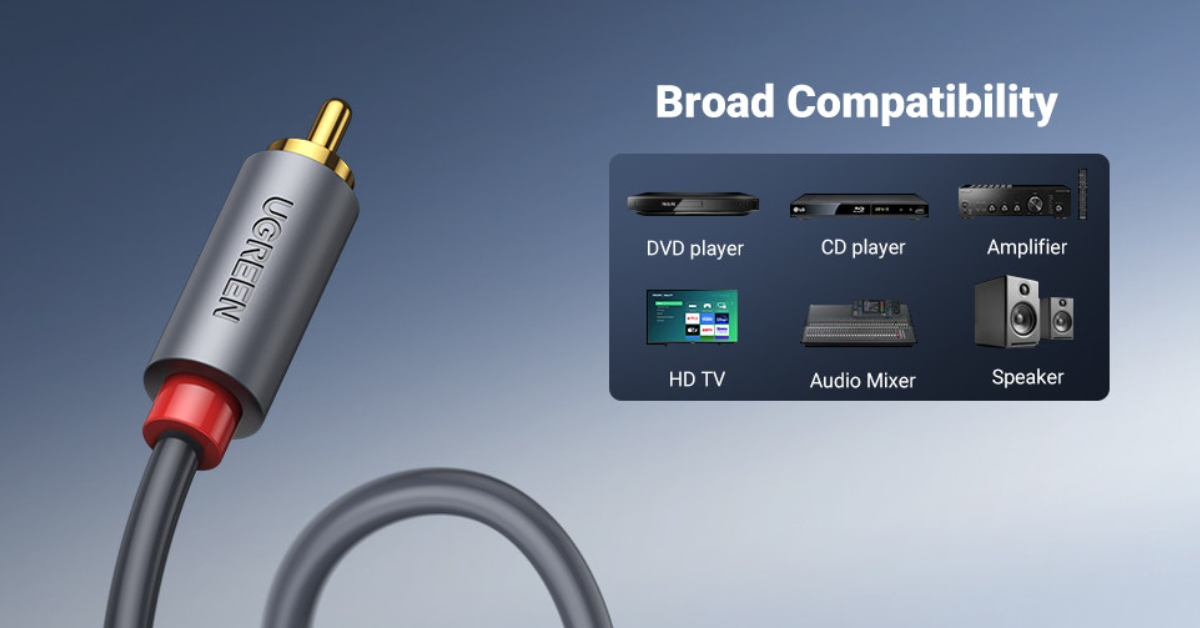 UGREEN migliori cavi RCA auto