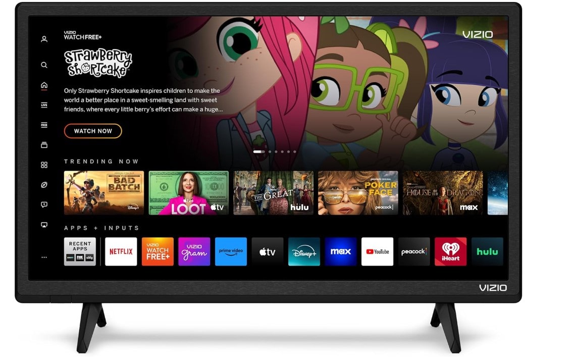 TV VIZIO serie D televisore cabina tir