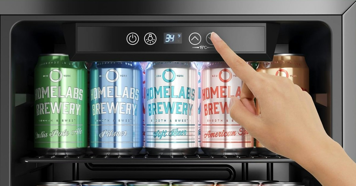 hOmeLabs miglior mini frigo da esterno