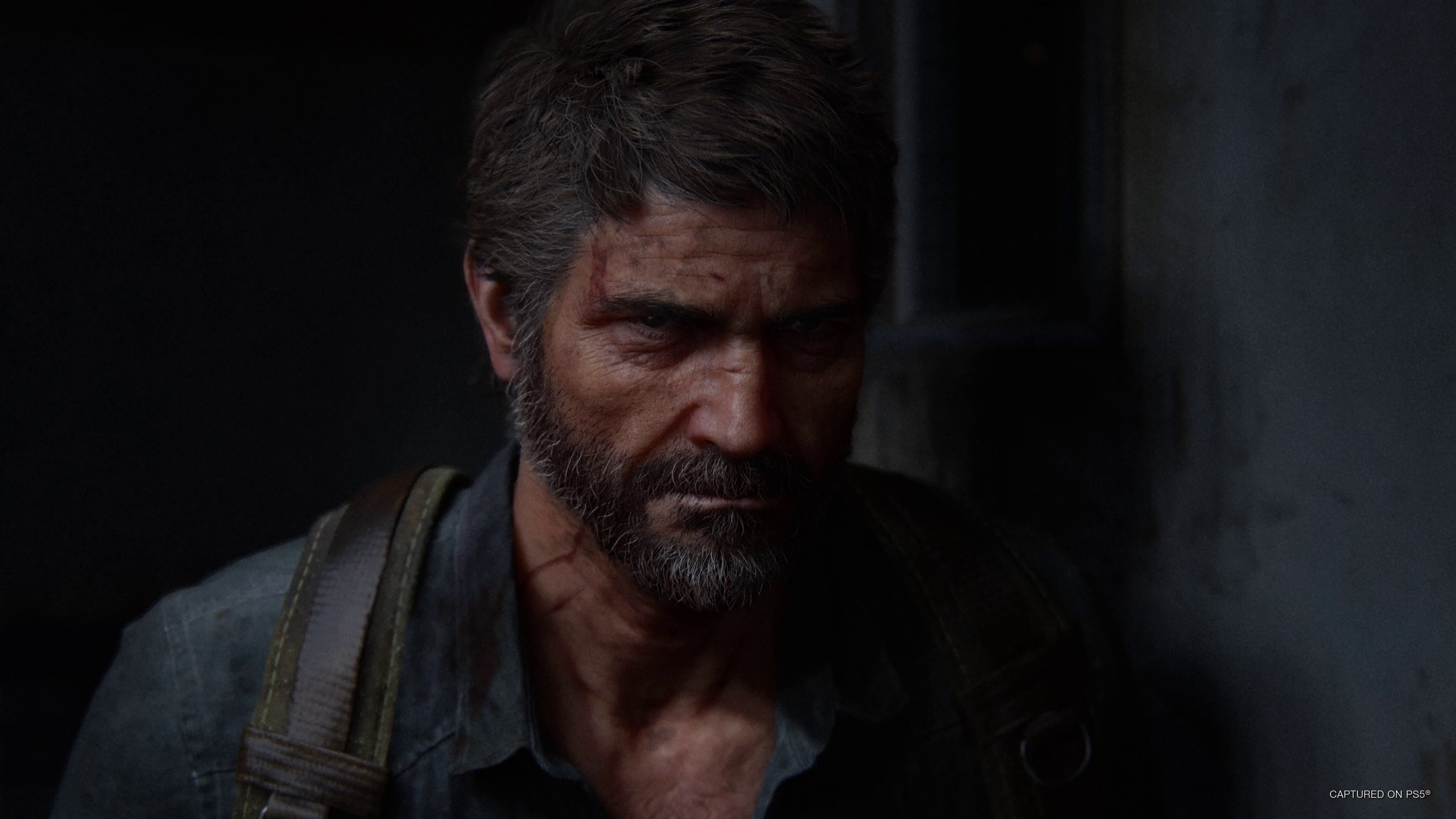 Analisi dello screenshot da The Last of Us 2: cosa aspettarsi dalla grafica