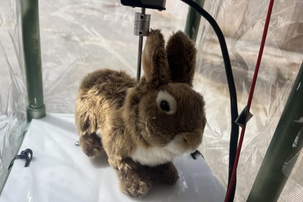 Come i conigli robotici stanno cambiando la moda degli animali domestici Coniglio Robot: Un giocattolo del futuro o una svolta nella robotica?