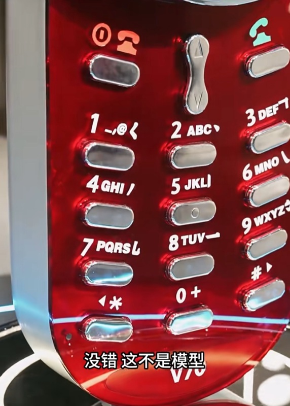 Un gruppo di turisti si fa foto con il gigante Motorola V70